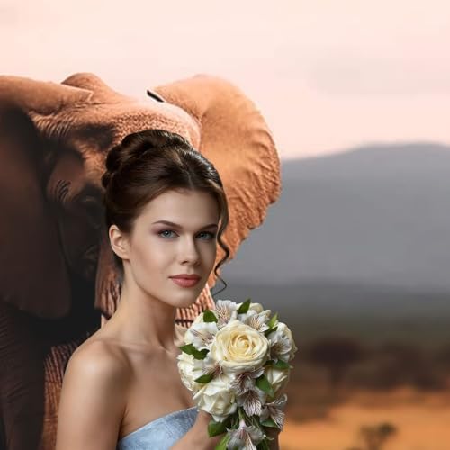 Walking Elephant Backdrop Background for Photography 5x7ft Photobooth Professional Photo Backdrop Curtains Video Photography Studio Photo Backgrounds Banner Booth Background Screen Parties - color: Walking Elephant