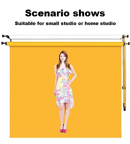 Photography Double Roller Wall Mounting Manual Background Support System, with 2 x Dual Purpose Double Hook, 4 x Expand Bar, 2 x Chain, Load Capacity: 22lb/10kg