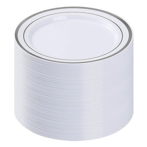 BESTVIP 100PCS Silver Plastic Plates, 10.25 Inch Disposable Dinner Plate Party with Silver Rim for Christmas, Thanksgiving, Heavy Duty Disposable Plastic Plates for Party, Wedding and Birthday, Events - color: Silver, size: 100PC