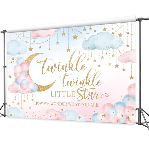 Twinkle Twinkle Little Star Gender Reveal Backdrop 8Wx6H Feet Polyester Fabric Pink Blue Boy or Girl Baby Shower Decoration Watercolor Moon Clouds Photography Background Photo Shoot Props - color: 12Gender Reveal, size: 8Wx6H