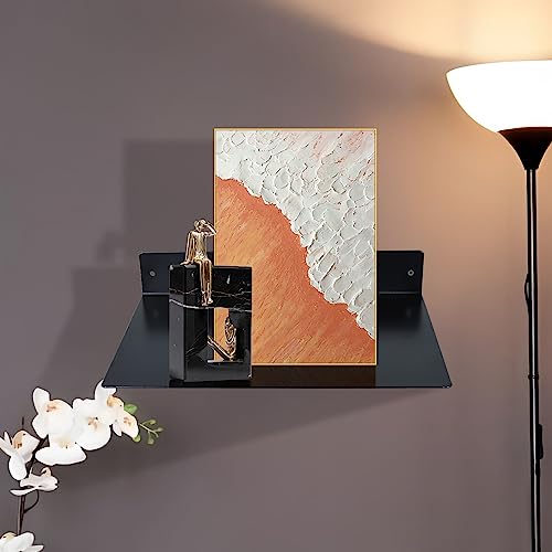 RealPlus Metal Floating Shelf Wall Mounted (12 inch x 8 inch) Heavy Duty Steel Display Shelves, Black (Pack of 2) - color: Black (Pack of 2), size: 12"W x 8"D