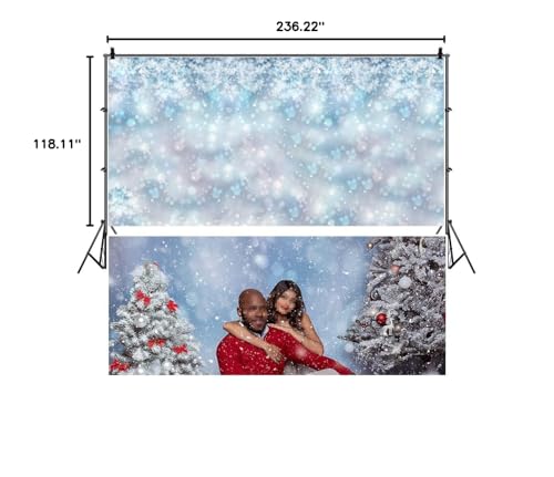 20x10ft Falling Snowflake Portrait Backdrops for Photography Winter Ice Snow Flakes Photo Shoot Newborn Kids Baby Adults Wedding Photo Background Vinyl Photo Booth Props - size: 20x10ft