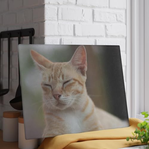 Personalized Glass Cutting Board Custom Tempered Boards with Photo Logo Text Customized Picture Print Textured Glass Prints Wall Art Decor