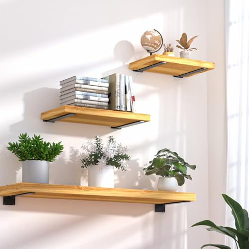 4 Pack - 14 inch Black Hidden L Shelf Bracket (1/5 Inch Thicked) Iron Floating Shelf Brackets Rustic Industrial Metal Brackets for Shelf Support - size: 14 Inch, style: Black 4 Pack