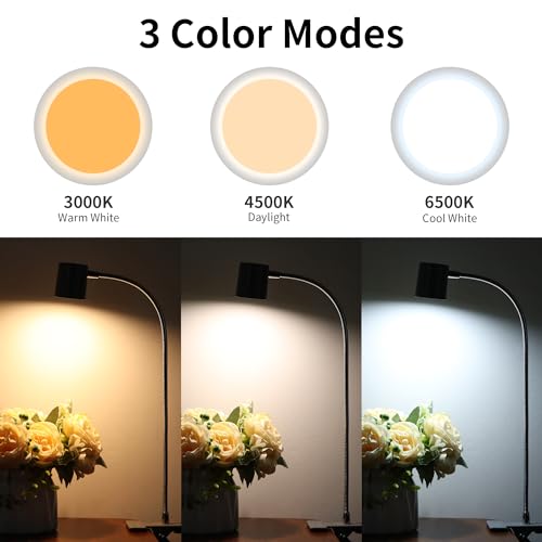 Dott Arts Desk Lamp,USB Clip On Light with 3 Color Modes,LED 10 Levels Brightness Reading Lamp, 360°Gooseneck Book Light,Eye-Care Reading Light for Home Office,Headboards Grey - color: Gray