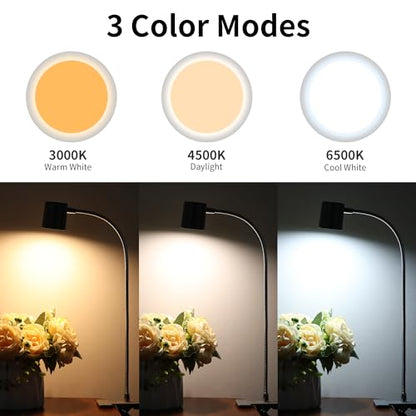 Dott Arts Desk Lamp,USB Clip On Light with 3 Color Modes,LED 10 Levels Brightness Reading Lamp, 360°Gooseneck Book Light,Eye-Care Reading Light for Home Office,Headboards Grey - color: Gray