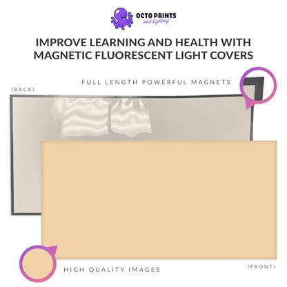 Octo Lights Magnetic Light Covers for Ceiling Lights Classroom Fluorescent Light Covers Solid Beige 2x4 Ceiling Light Cover for Classroom Lights, Office, and Medical Spaces (Pack of 1) - color: Dark Beige