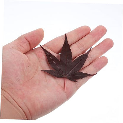30pcs Sushi Leaves Tray Sashimi Backdrop Japanese Sushi Tray Decor Natural Maple Leaf Decor Serving Leafs Sashimi Dispenser Maple Food Photography for Dessert and Baking