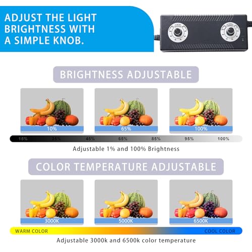 Photo Studio Light Box, 24"x24" Professional Dimmable Portable Photo Box with 240 LEDs Lights & 4 Kinds Double-Sided Color Backgrounds for Product Photography - size: 24*24 inch