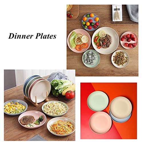 CAMBUY Wheat Straw Plates Lightweight Unbreakable Dinner Dishes Plates Set Dishwasher & Microwave Safe (Extra Large 8 Pack 10') - color: Extra Large Double Multicolour