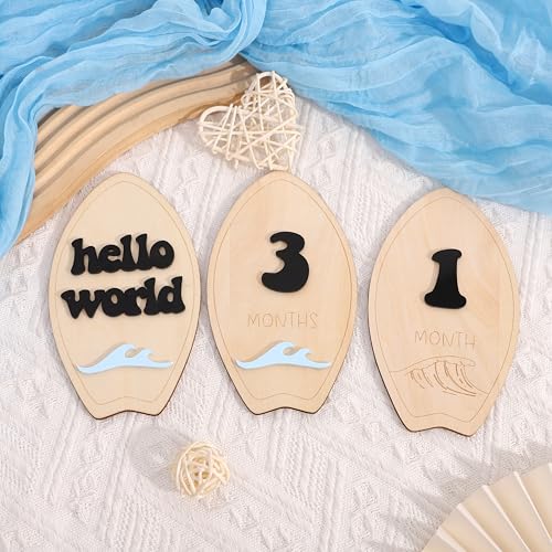 Wooden Surf Baby Monthly Milestone Cards - Beach First Year Monthly Milestone Markers, Ocean Waves Interchangeable Month Milestone Discs, Baby Photo Props