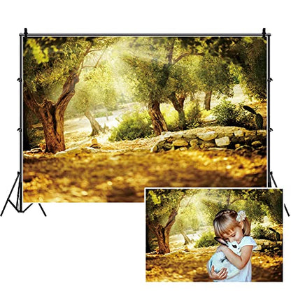 Leyiyi 10x8ft Natural Scenery Backdrop Olive Trees Sunshine Wonderland Dreamy Haze Blurred Background Stone Natural Forest Landscape Video Photo Studio Prop - size: 10x8ft-Vinyl