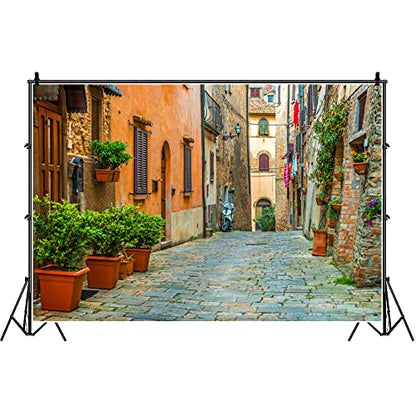 Laeacco 10x6.5ft Italy Old Town Small Narrow Alley Street Landscape Backdrop European Building Green Vine Italian Style Backdrop Travel Theme Birthday Party Photo Studio Prop Festival Room Decoration - size: 10x6.5ft