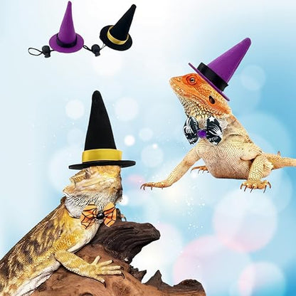 Reptile Witch Costume for Lizard & Chameleon - Adjustable Hat & Tutu Skirt, Festive Reptile Cosplay Outfit for Photo Props Halloween Christmas-Black Hat - color: Witch-Black Hat