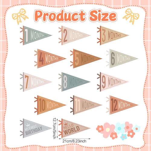 VitalCozy 14 Pcs Baby Milestone Pennant Signs Monthly Milestone Banner Flags Pennant Triangle Banner Age Flag Signs for Boy Girl Newborn Birthday Party Decor(Assorted Colors) - color: Assorted Colors