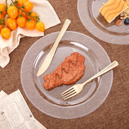 bUCLA 30PCS Clear Plastic Dinner Plates Disposable - 10.25" Heavy Duty Clear Plastic Plates for Party & Wedding - color: 10.25Inch-30pcs-Clear