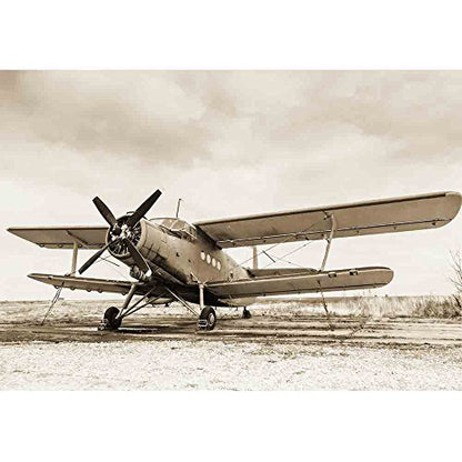 wall26 Old Airplane on Field in Sepia Tone - Removable Wall Mural | Self-Adhesive Large Wallpaper - 66x96 inches - color: Artwork - 12, size: 66"x96"
