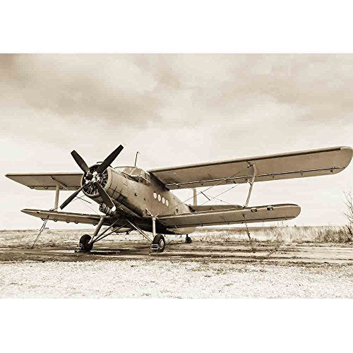 wall26 Old Airplane on Field in Sepia Tone - Removable Wall Mural | Self-Adhesive Large Wallpaper - 66x96 inches - color: Artwork - 12, size: 66"x96"