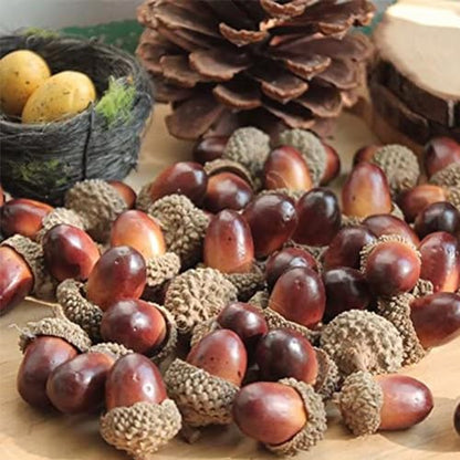 50 Pieces Small Artificial Acorns Mini Crafting Acorns Decorative Fall Acorns Fake Fruit Props Photography Fruit Model Fall Harvest Table Decorations