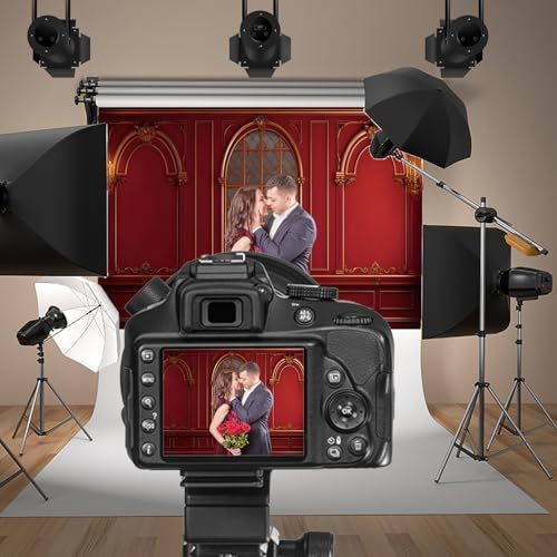 8x6.5ft Red Royal Wall Photography Backdrop Vintage European Style Arch Window Palace Interior Photography Background Ceremony Wedding Birthday Party Graduation for Kid Adult Video Studio - color: red, size: 8x6.5ft