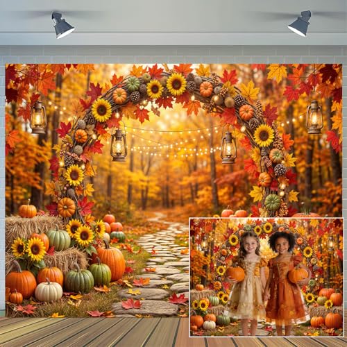 5 x 3 ft Fall Backdrop Autumn Scenery Sunflower Arch Maple Leaves Forest Leaves Pumpkins Background Fall Farm Rustic Trail Thanksgiving Harvest Party Supplies Banner Picture Photo Booth - color: Multi9, size: 5x3ft