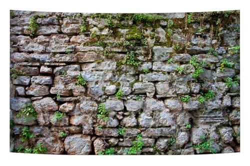 10X7FT Fabric Vintage Brick Stone Backdrop Overgrown Wall Ancient Rock Wall Textured Photography Background Medieval Castle Stone Wall Portrait Party Decorations Studio Booth Photo Props - size: 10X7FT