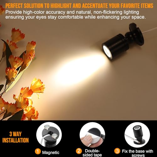 Taysing LED Spot Light Indoor Little Mini Spotlight Accent Lights for Display, Paintings, Pictures, Plants, Jewelry, Shelves, Cabinets, Posters, Showcase(Soft White 4 Pack Dimming&Timing) - color: Soft White-4 Pack Smart Switch