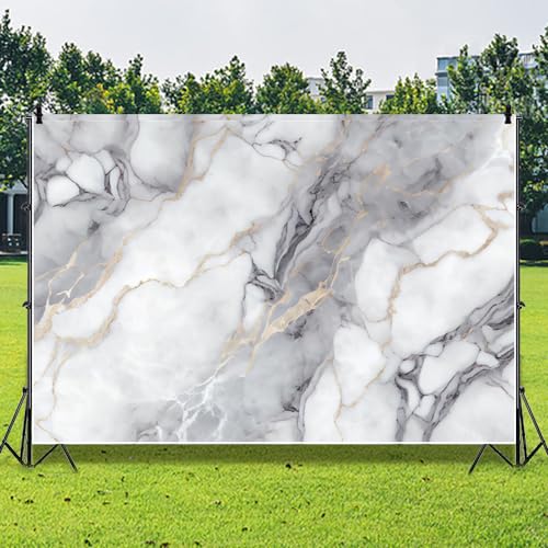 Leowefowa 6x4ft Luxury Gray Marble Photography Backdrop Abstract Gradient Art White Gray Marble Background Luxury Modern Gold Texture Birthday Weeding Party Banner Studio Prop Decoration - size: 6x4ft