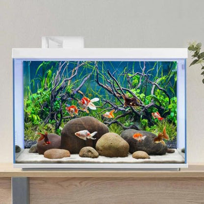 AWERT 30x12 inches Tropical Fish Tank Background River Bed & Lake Aquatic Plant Undersea Tree Branch Aquarium Background Vinyl - size: 30x12in/75x30cm