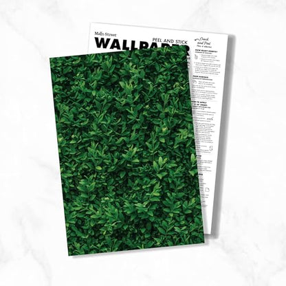 Main Street Peel and Stick Wallpaper Eco-Friendly Sheets 12 Pack, 11 X 16 Inch Plant Wall Design, Wall Mural for Home Decor, Removable Wall Decor Wallpaper Peel and Stick for DIY Projects - style: Plant Wall Design
