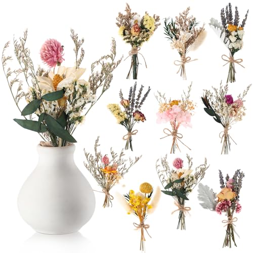 Nuanchu 10 Pcs Mini Dried Flower Bouquet Mixed Natural Dried Flowers with Stem Boho Plant Stem Bunch for DIY Craft Card Home Party Photo Props Wedding Decor, 5 to 6 inches(Popular Styles) - style: Popular Styles