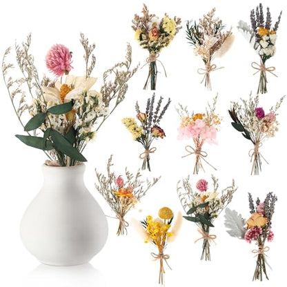 Nuanchu 10 Pcs Mini Dried Flower Bouquet Mixed Natural Dried Flowers with Stem Boho Plant Stem Bunch for DIY Craft Card Home Party Photo Props Wedding Decor, 5 to 6 inches(Popular Styles) - style: Popular Styles