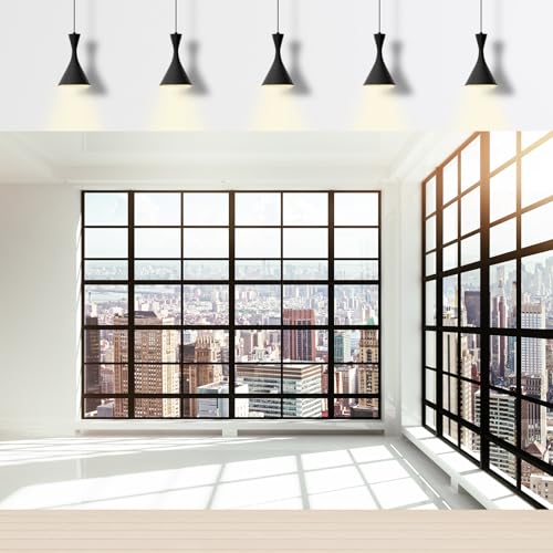 Window Backdrop Office Building French Window Transparent Glass Photography Background Window City Skyscraper Landscape Backdrop Decors for Live Streaming Studio Portrait Wallpaper Props 5x3ft - color: White_Black, size: 5x3ft