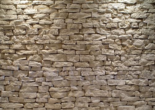 8x8ft Fabric Stone Wall Backdrop Ancient Rock with Light Background Brick Stone Wall Textured Backdrops Home Garden Wallpaper Birthday Party Cake Table Decor Photo Props - size: 8x8FT