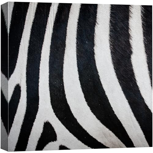 wall26 - Canvas Prints Wall Art - Canvas Prints Wall Art - Zebra Fur/Skin Texture - 12"x12" - color: 04. Zebra Pattern, size: 12"L x 12"W