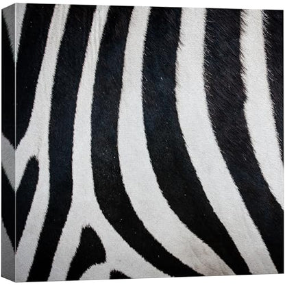 wall26 - Canvas Prints Wall Art - Canvas Prints Wall Art - Zebra Fur/Skin Texture - 12"x12" - color: 04. Zebra Pattern, size: 12"L x 12"W