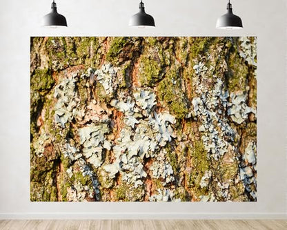 Trykid 5x5ft Tree Bark Lichen Texture Backdrop Organic Natural Earthy Textured Rustic Surface Photography Background Nature Style Tapestry Party Decoration Photo Studio Prop Fabric - size: 5x5ft