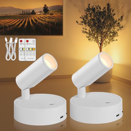 Spotlight Indoor, Wireless Battery Operated with Remote,Uplight Indoor Down Light for Picture on Wall, Plant Spotlight Dimmable Timer, Mini Ceiling Lights Painting for Trees Plant, White 2 Pack - color: White, size: 2 Pack
