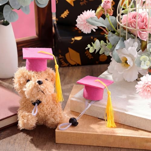 Eccliy 2 Pcs Pet Graduation Caps Mini Bachelor Hats with Tassel for Small Animal Guinea Pigs Hedgehog Bird Turtles Hamster Photo Props Graduation Festival Holiday Party Accessory (Pink Gold) - color: Pink Gold