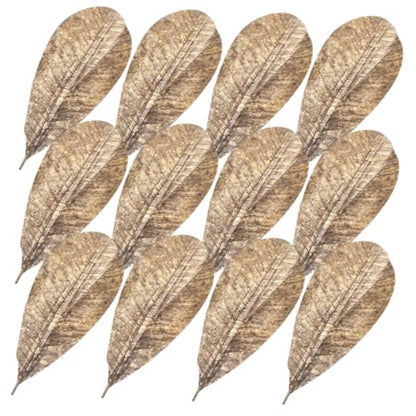 COLLBATH Dried Leaf Sushi Tray Decor 20Pcs Seafood Display Serving Plate Unique Sashimi Background Leaf Embellishments for Food Photography for Restaurants and BBQ