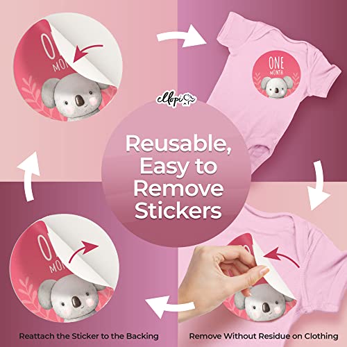 Hilarious Baby Girl Milestone Photo Prop 4 in Stickers. Cute Pink and Purple 30 Pack- 12 Months, 4 Good and 12 Funny Moments Plus 1 Blank Decal for Infant or Newborn Pictures. New Mom Baby Sticker Set