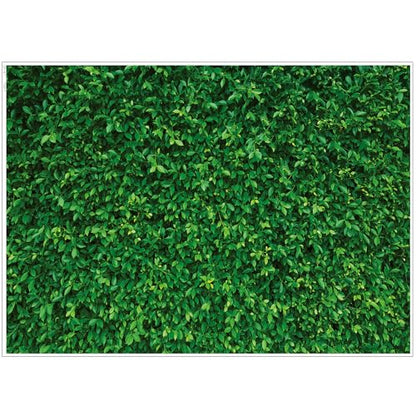 LYWYGG 7x5FT Vinyl Green Leaves Photography Backdrop Nature Greenery Leaves Backdrop Grass Background (Non 3D) CP-87 - size: 7x5FT