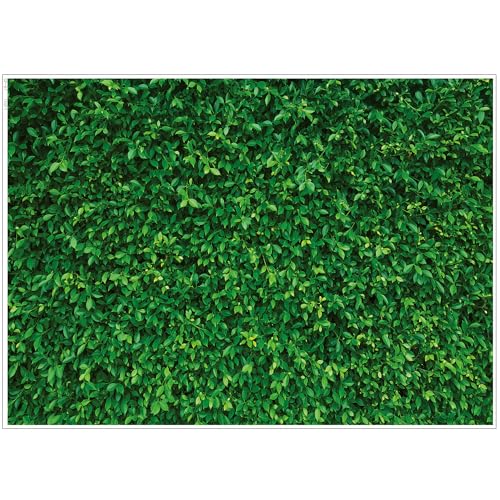 LYWYGG 7x5FT Vinyl Green Leaves Photography Backdrop Nature Greenery Leaves Backdrop Grass Background (Non 3D) CP-87 - size: 7x5FT