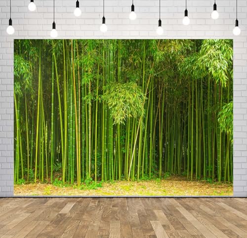 12x8ft Fabric Bamboo Forest Backdrop Park Green Bamboo Trees Forest Natural Texture Photography Background Natural Home Wallpaper Decor Photo Props - size: 12x8FT