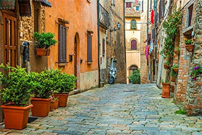 Laeacco 10x6.5ft Italy Old Town Small Narrow Alley Street Landscape Backdrop European Building Green Vine Italian Style Backdrop Travel Theme Birthday Party Photo Studio Prop Festival Room Decoration - size: 10x6.5ft