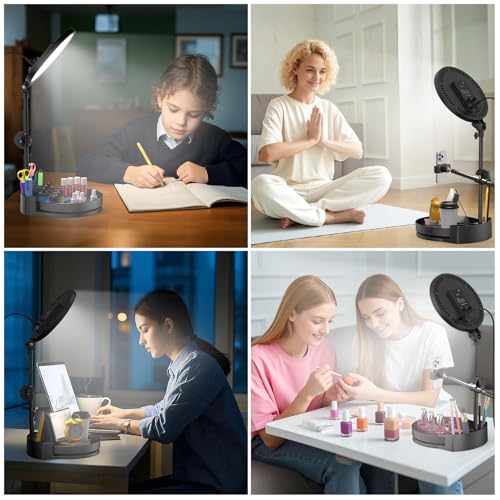 Selfie Light Kit for Desk and Laptop,55W Dimmable Full Screen Ring Light,with Rotating Storage Box,Pen Holder Stand,Phone Holder and Controller (Pink, 10.5) - color: Pink