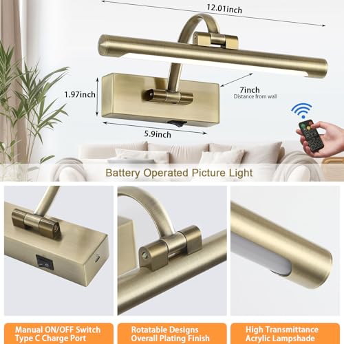 Tassuowell Wireless Picture Lights for Wall,12 Inch Battery Operated Picture Light,3CCT Dimmable Lights for Pictures on Wall with Timer and Remote for Display Photo Frame (Antique Bronze, 12inch) - color: Antique Bronze, size: 12inch
