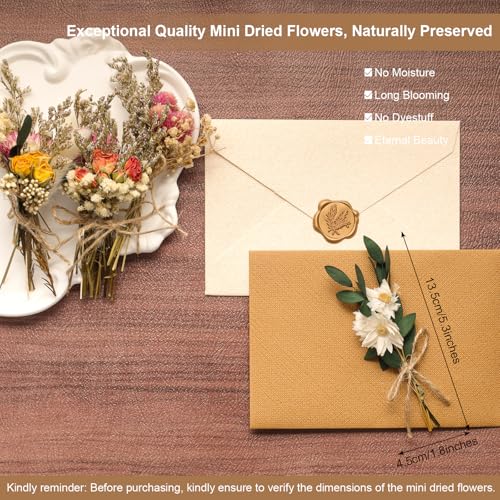 Fumwase 6Pcs Mini Dried Flower Bouquet Natural Real Flowers for Crafts Boho Dried Flowers Bulk Small Dried Flowers for Vase Dried Wildflowers for DIY Photo Props Gift Wedding Decor