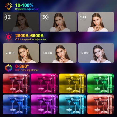 Hagibis RGB Camera Light,360°Full Color Portable Video Light LED Photo Light w Cold Shoe,2200mAh Rechargeable CRI97+,20Effects Lighting for Photography/Advertising Poster/Short Film (RGB-Black)