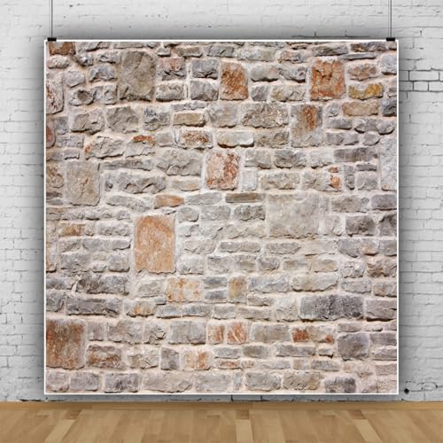 AOFOTO 8x8ft Backdrops Photography Background Old Stone Wall Hardwood Floors Toddler Newborn Boy Lovers Kid Adult Girl Portrait Seamless Scene Photo Shoot Studio Props Video - size: 8x8ft
